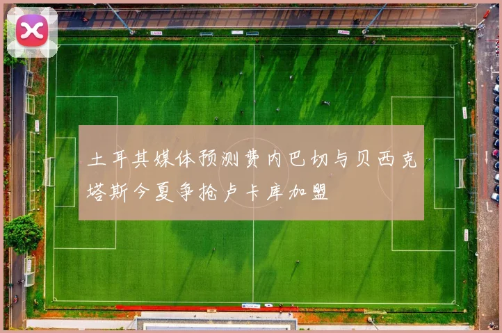 土耳其媒体预测费内巴切与贝西克塔斯今夏争抢卢卡库加盟
