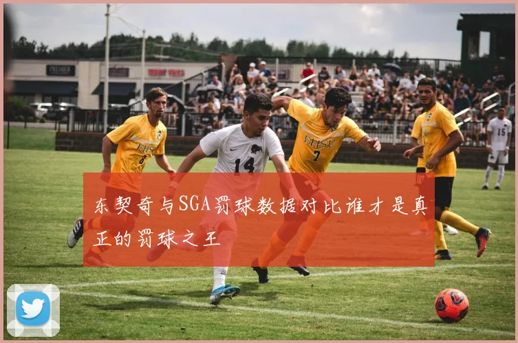 东契奇与SGA罚球数据对比谁才是真正的罚球之王