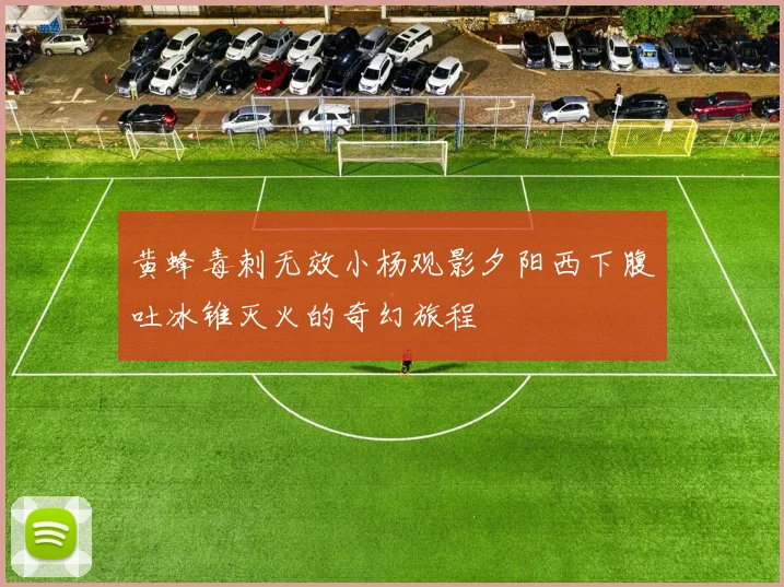 黄蜂毒刺无效小杨观影夕阳西下腹吐冰锥灭火的奇幻旅程