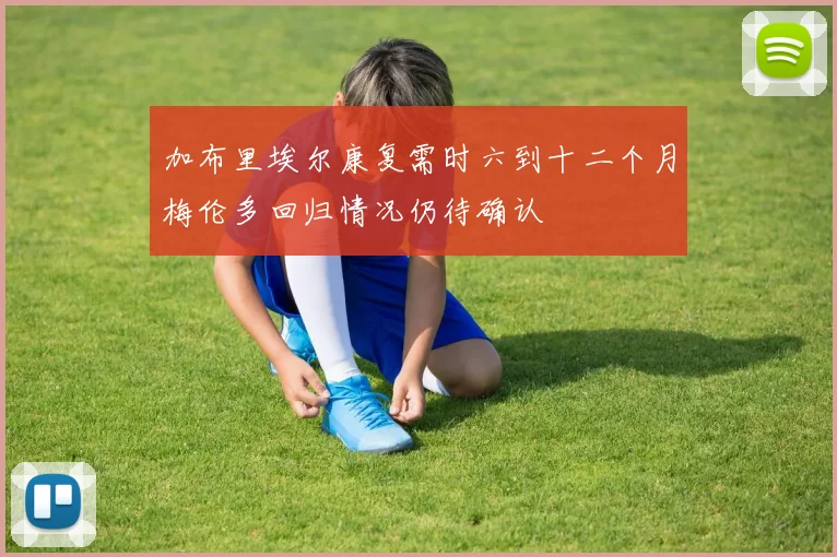 加布里埃尔康复需时六到十二个月梅伦多回归情况仍待确认