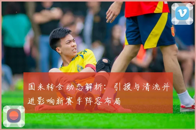 国米转会动态解析：引援与清洗并进影响新赛季阵容布局